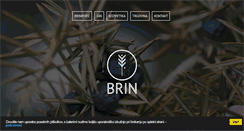 Desktop Screenshot of ginbrin.com